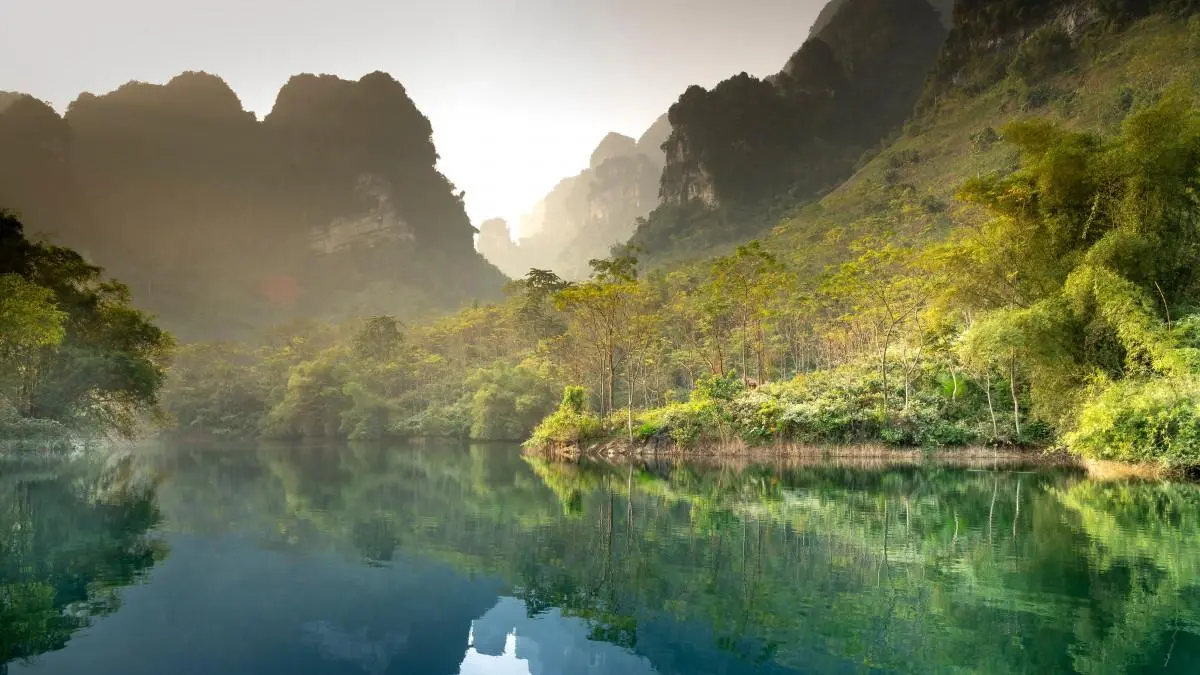 智能化智能